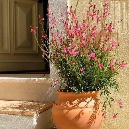 Διαμέρισμα Yellow House - Checkinhome *