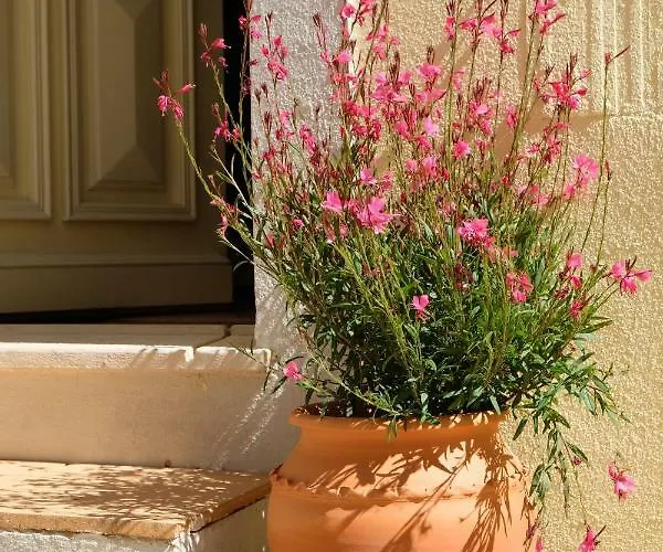 Apartament Yellow House - Checkinhome *